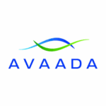 Partner 3